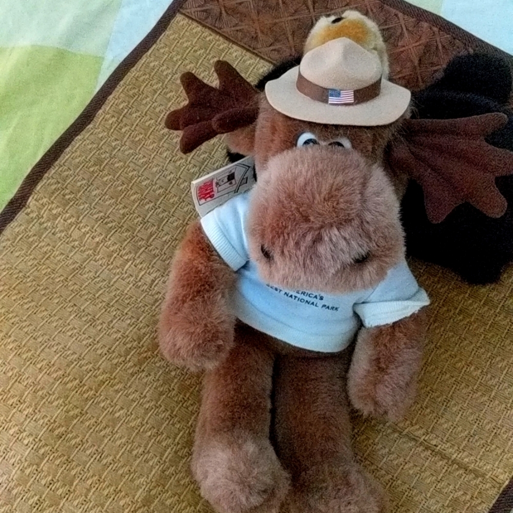 Stuff animal house toy new with tag